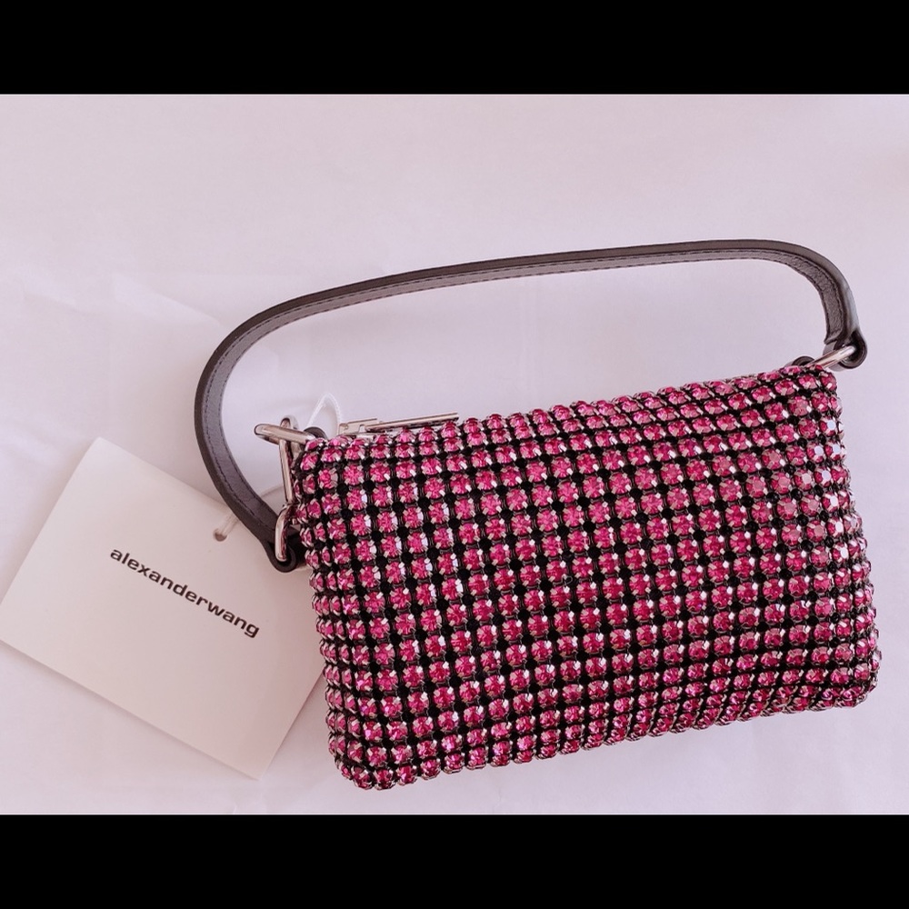 🌟Alexander Wang Embellished Mini pouch 🌟